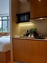 Mount Elizabeth Link (D9), Apartment #412207361